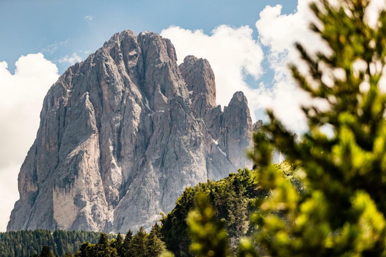 Appartamenti Hetty Santa Cristina Val Gardena المظهر الخارجي الصورة
